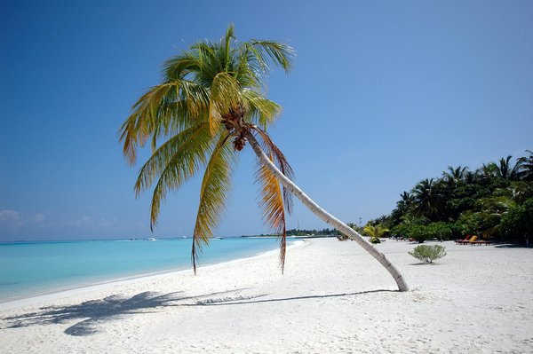 Où découvrir les traditions textiles de la région de Puno, Pérou?