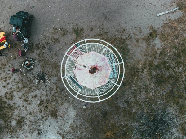 Comment planifier une visite des sanctuaires d'éléphants en Thaïlande ?